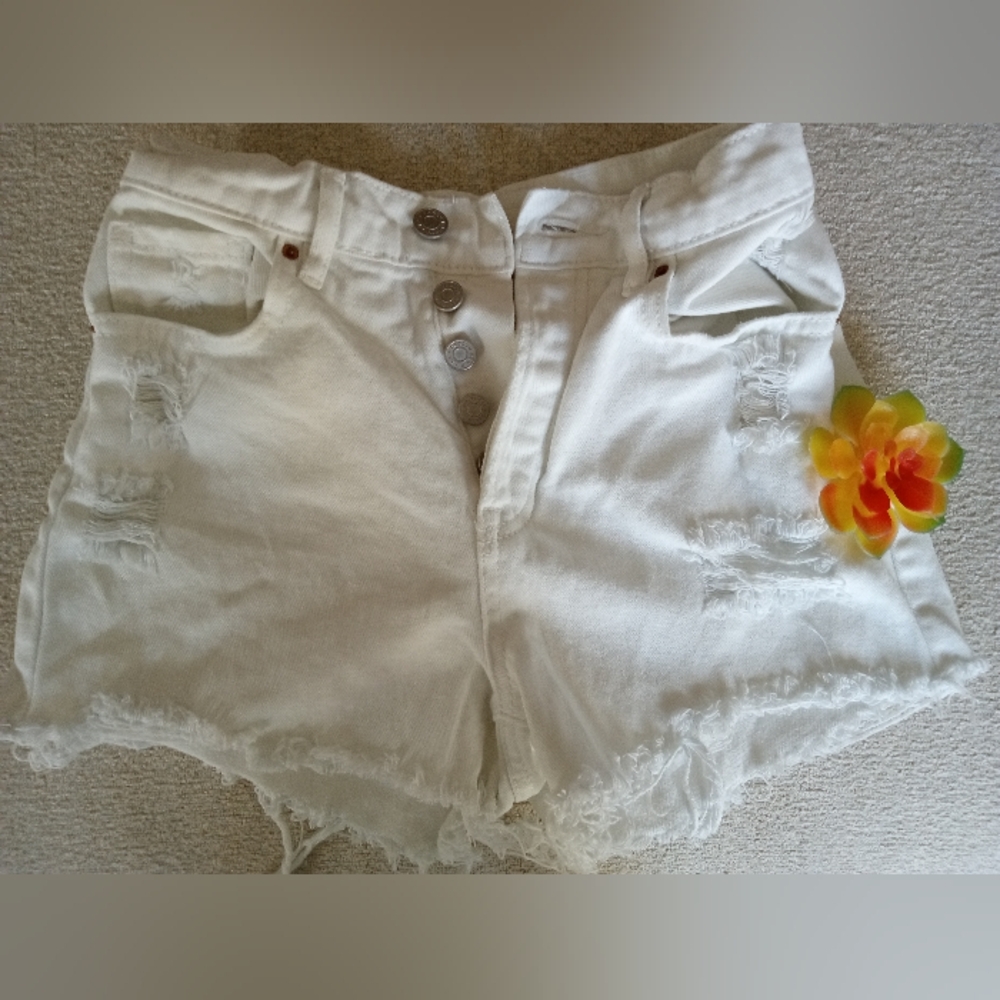 PacSun, juniors shorts size 23